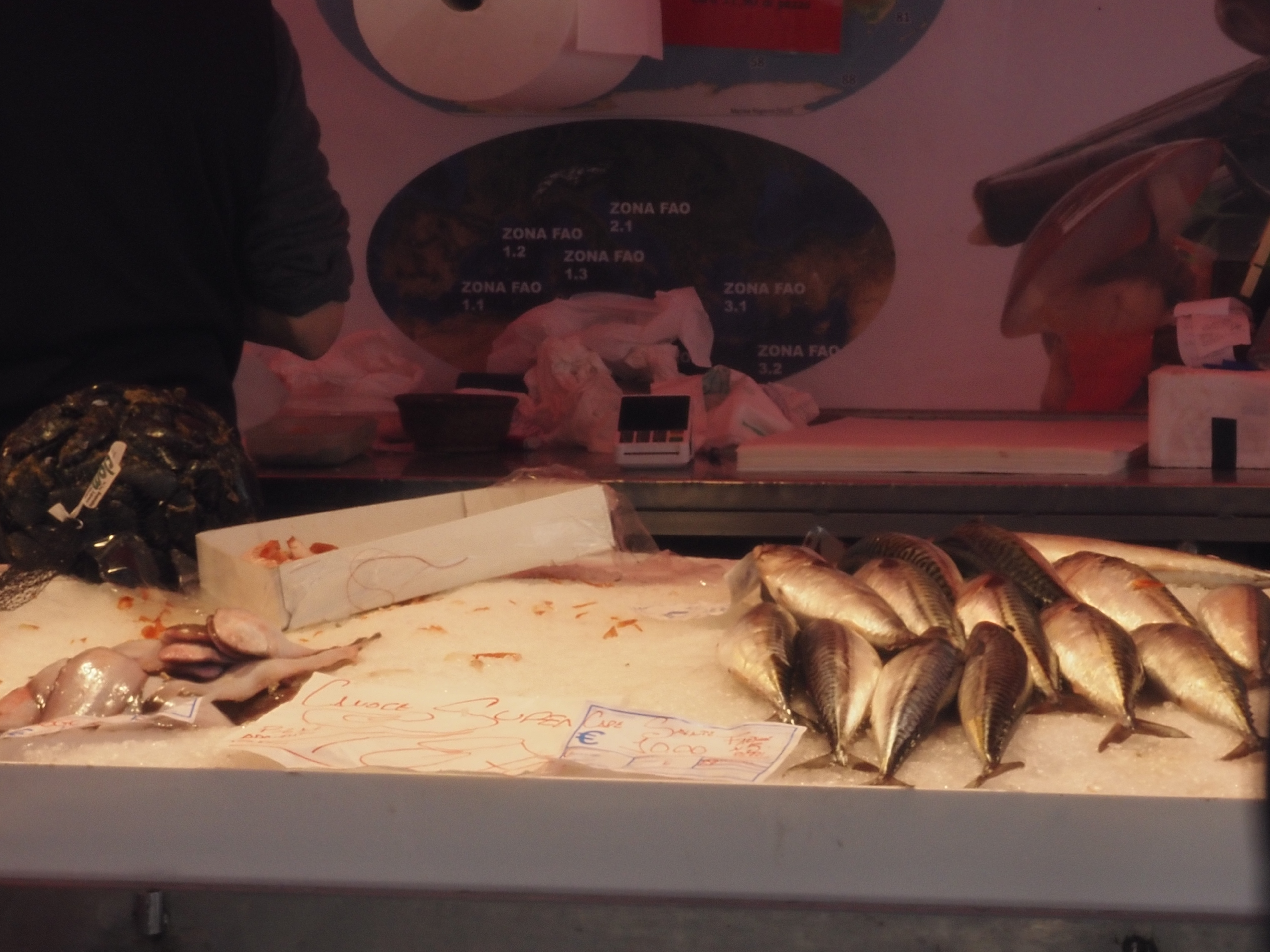 venice fish